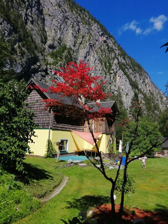Villa Haus Waldbach Hallstatt Exterior foto