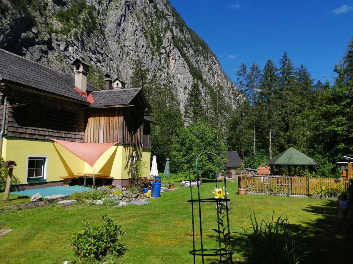 Villa Haus Waldbach Hallstatt Exterior foto