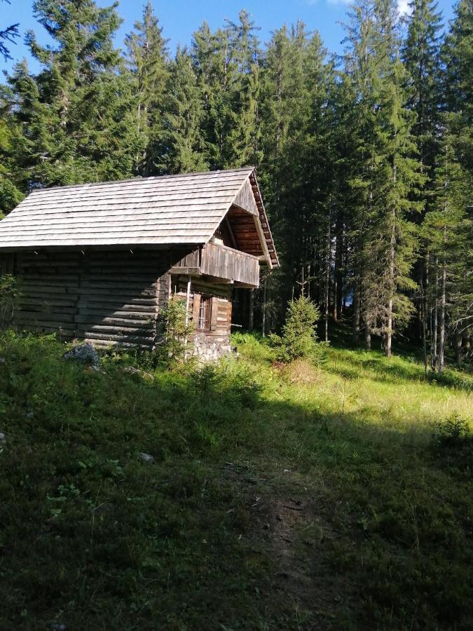 Villa Haus Waldbach Hallstatt Exterior foto