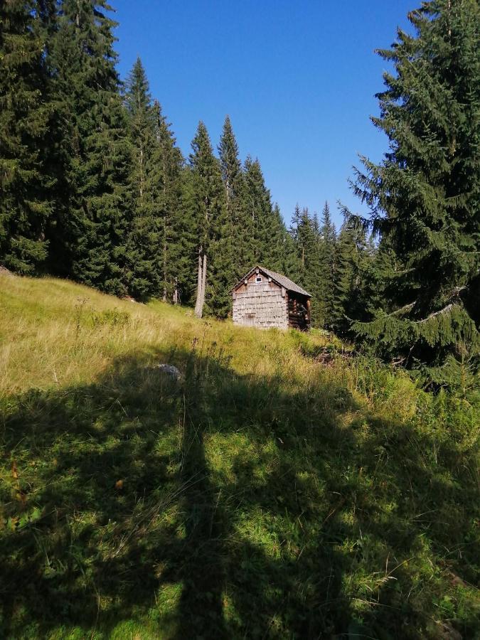 Villa Haus Waldbach Hallstatt Exterior foto