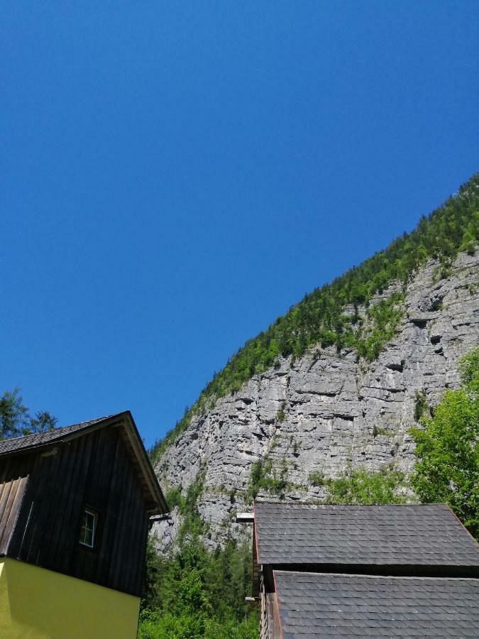 Villa Haus Waldbach Hallstatt Exterior foto