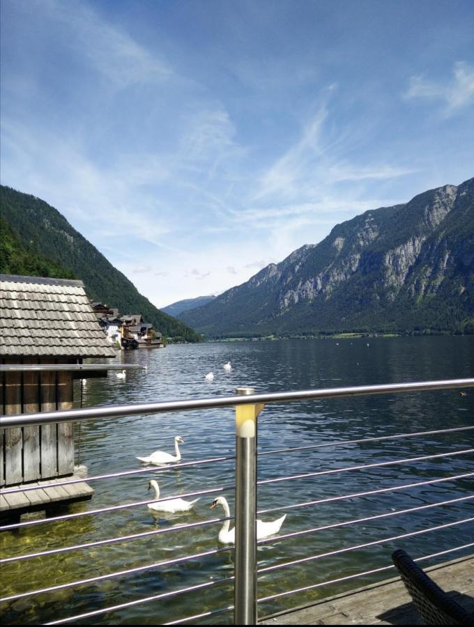 Villa Haus Waldbach Hallstatt Exterior foto